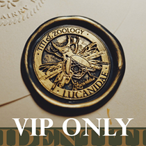 VIP limited crystal pillar shovel-shaped beetle IDENTITI imaginary zoology mourning sandalwood paint custom service