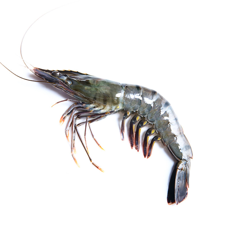 味库马来西亚超大冷冻海虾黑虎虾1200g