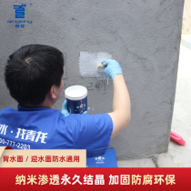 Green Dragon Roof Roof Toilet Penetration Waterproof and Leakage Back Water Surface Paint External Wall Building Top House Material God