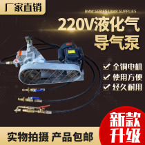 220V liquefied gas pump guide air pump 48V car-mounted reverse air pump Inflatable pipe gas high pressure pump propane pump