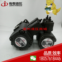 JUNTAI JUNTAI double pump vane pump VP-DF-40D-40D 30D-30D 20D-20D spot