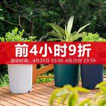 Love Lithsilk Gallon Basin Resin Plastic Orchid Green flower Flower Pot Second-generation Thickened Nordic Brief Lunar Season