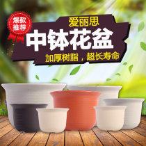 Alice flower pot plastic large succulent plant thickened imitation ceramic resin green Alice creative Wholesale