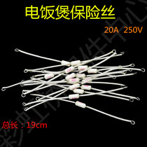 Electric Cooker Temperature Fuse Hot Melt Interrupter Protector 20A 200 degrees 250V Electric cooker Insurance Tube