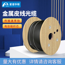 Love Spectrum Hutton GJXH type single core two-core four-core metal introduction to leather line optical cable black 1000 meters
