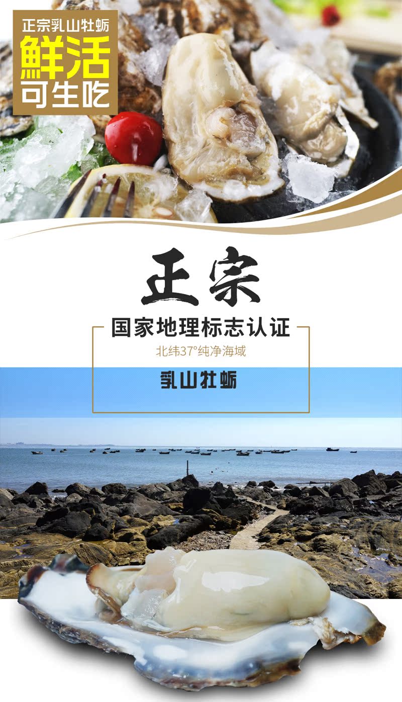 生蚝鲜活新鲜乳山牡蛎带壳海蛎子五5斤装顺丰威海海鲜