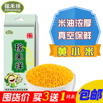 Farmer self-produced millet 400g Moon rice yellow millet porridge whole grains new rice promotion buy 3 get 1