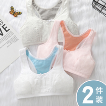 Teenage Girl Hair Birth Little Vest Junior High School Junior Girls Students Smear Underwear Girl Bra 9-12-16 years old