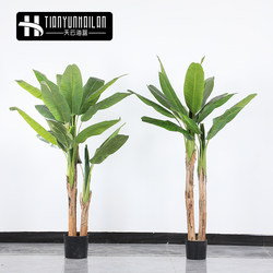 Nordic large simulated green plant banana tree indoor landscaping tropical anti-biophyt fake plant living room floor decoration ornaments