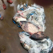 Nylon wire three-layer submerged net Fishing net Fishing net sticky net Fishing wire mesh hanging subnet 1 5 meters 2 meters 3 meters 4 meters 5 meters high