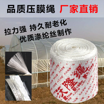 Wallon rope greenhouse greenhouse pressure film belt Long Wallon pressure film rope thickened greenhouse wind-resistant white polyester pressure film line