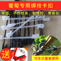 Grape kiwi tied branch card bagging tied branch machine Tie silk Grape seedling pruning shears Buckle hook tied vine clip