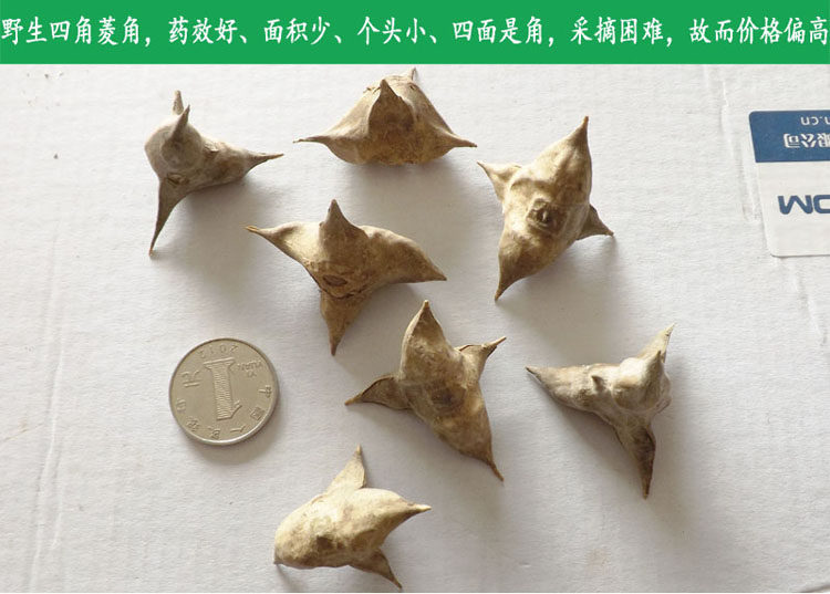 包邮2016新上市洪泽湖野生四角菱角蒂干货 菱角梗茎 搭配红菱壳