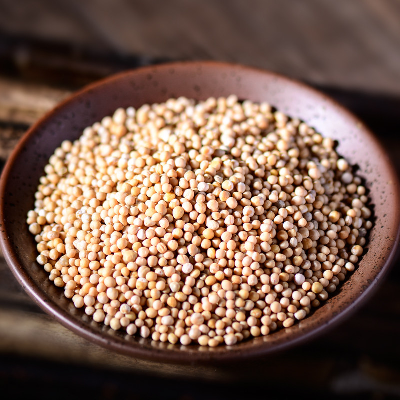 奥淼中药材 白芥子 白芥籽 生白介子 辣菜籽 芥菜籽 实体店铺50g