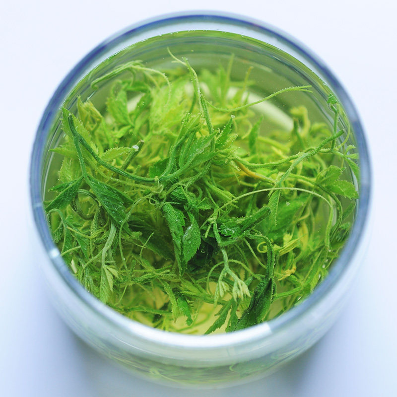 35克甘味五叶绞股蓝茶正品平利野生绞股蓝龙须新茶非罗布麻茶