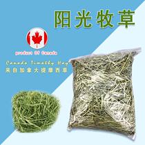 Canada Snow Mountain Timotia grass Bunny grain feed Netherlands Pig Grass Section Hay Dragon Cat Supplies Pasture Grass Food