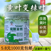 Flower fertilizer ferrous sulfate potted iron fertilizer acid Gardenia yellow leaves adjust soil pH fertilizer Black Sail