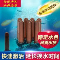Nitrifying bacteria freeze-dried nitrifying bacteria fish tank water purification agent fish aquarium water quality stable water quality