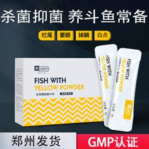 Yellow powder Betta rotten body rotten tail white point water purification mold blindfolded scale Japanese aquarium sterilization special disinfection