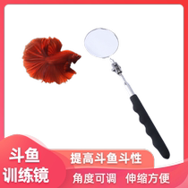 Fighting fish training mirror exercise anti-depression fighting fish live fish special fitness mirror stainless steel telescopic fish interactive mirror