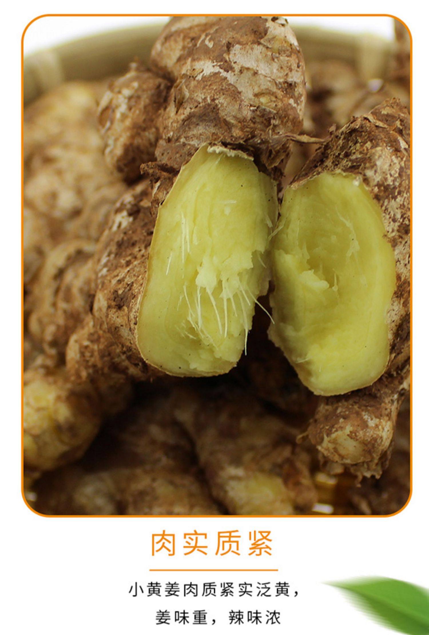 【5斤】云南罗平小黄姜新鲜生姜