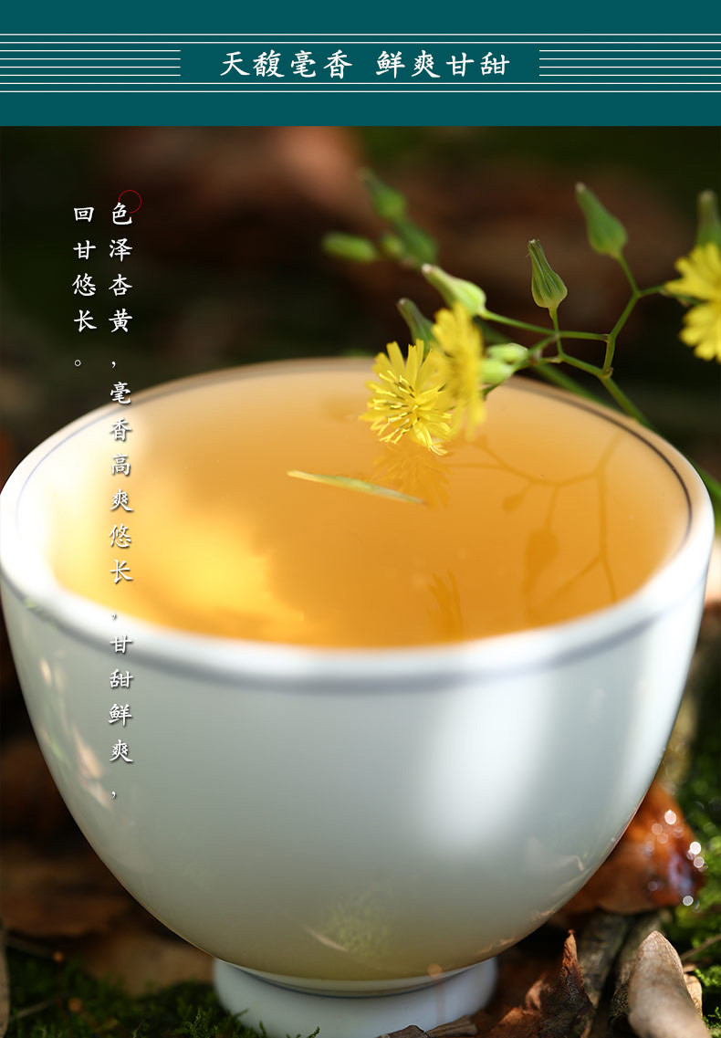 福鼎白茶茶汤图片图片