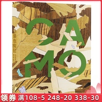 Disguise is also crazy camouflage pattern subversion design camouflage graphic pattern material design books