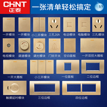 Chint 118 type 5D brushed champagne gold switch socket panel household multi-function combination USB module gold