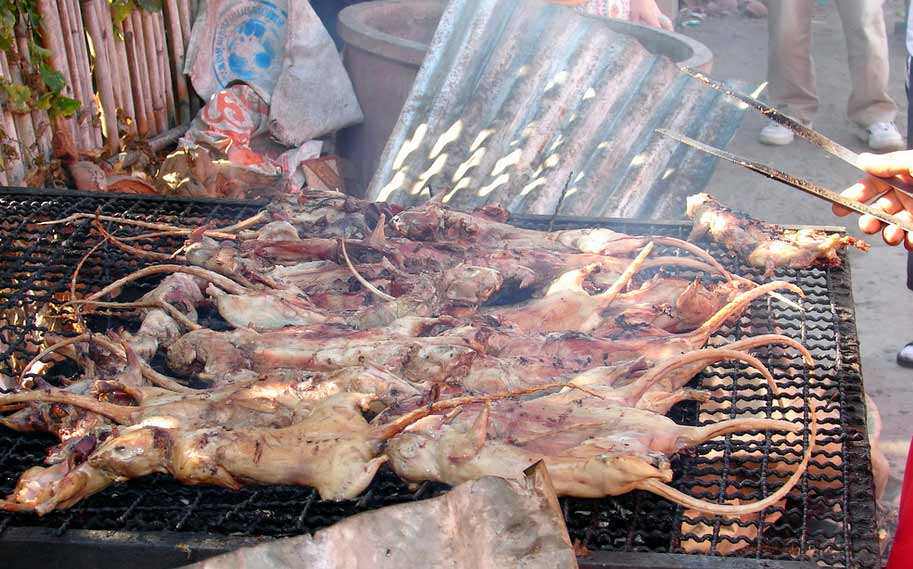 活烤老鼠——东南亚 将老鼠活活烧死后进行烧烤,吃过的人说像是吃鸡肉