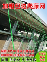 Climbing rattan net rose Wall net gourd plant climbing melon fruit bean horn balcony planting vegetable rose planting gang