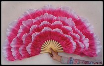 Peony Flowers Fan Large Petal Fan New Dance Fan New Dance Fan Dance Group Gymnastics Props