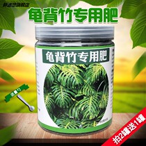 Turtle back bamboo fertilizer special fertilizer office indoor large plant turtle bamboo camp nutrition soil flower potted household