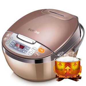 SUPOR/苏泊尔 CFXB30FC829-60电饭煲