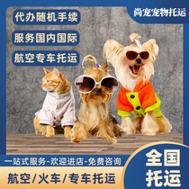 Random procedures for pet consignment of cats and dogs across the country Beijing Shanghai Shenzhen Chongqing Guangzhou and Hong Kong pet mailing