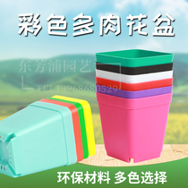 Multi-meat plastic pot colored flower plant small meat pot thickens high quality black square basket for plastic basket