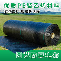 New material PE Agricultural Anti-Aging Horticultural Lawn Fabric Prevention Grassland Cloth Cloth Cushion Clothes Geotechnical Cloth