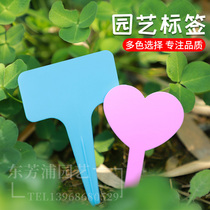 Horticultural plant label small slot thicker T type love multi-flesh flower pot plastic waterproof famous label card