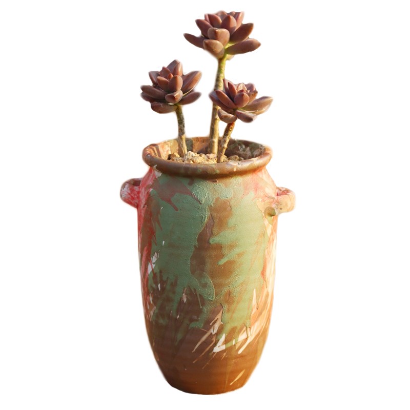 Fleshy mage old running the flowerpot high basin coarse pottery breathable high creative POTS flesh zhuang zi flower pot