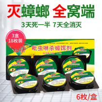 Yu Kang in addition to killing cockroaches in addition to killing cockroaches in addition to killing cockroaches in addition to killing cockroaches in addition to killing cockroaches in addition to killing cockroaches