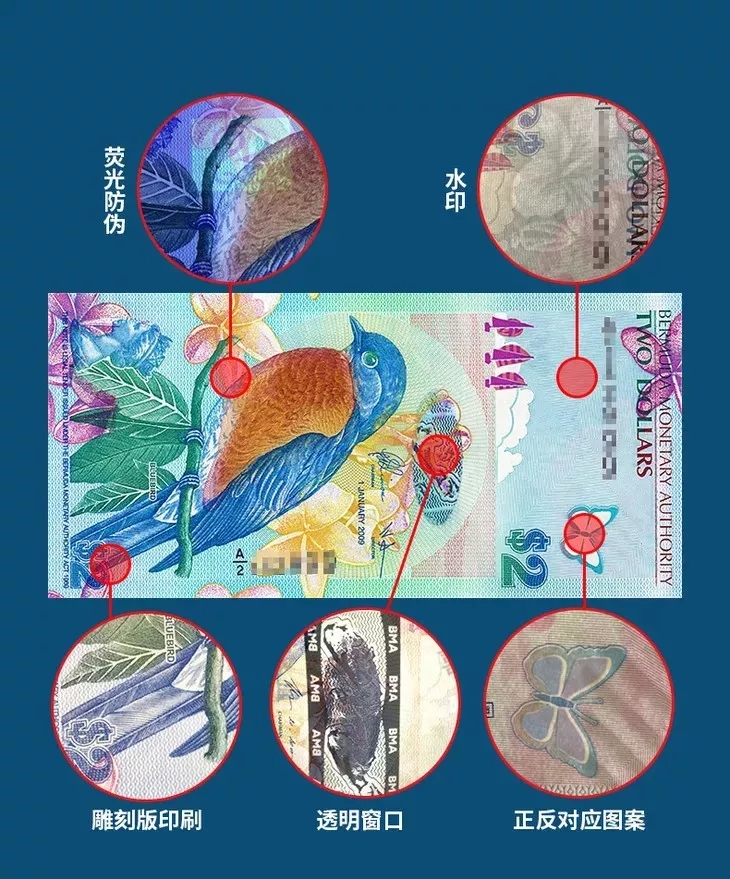 award-winning currency bermuda 2 yuan blue bird bird banknote 2009 world super us banknote p-57b