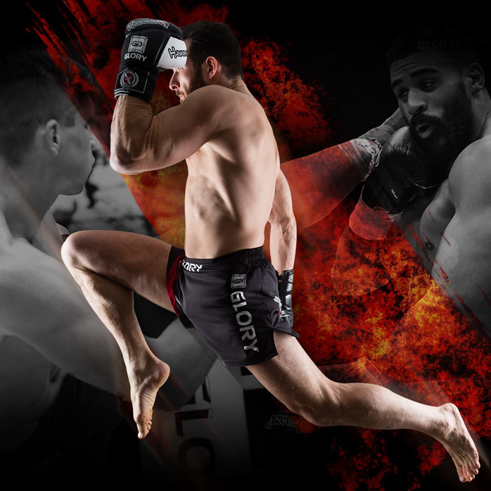 Шорты Hayabusa Kickboxing 2 0