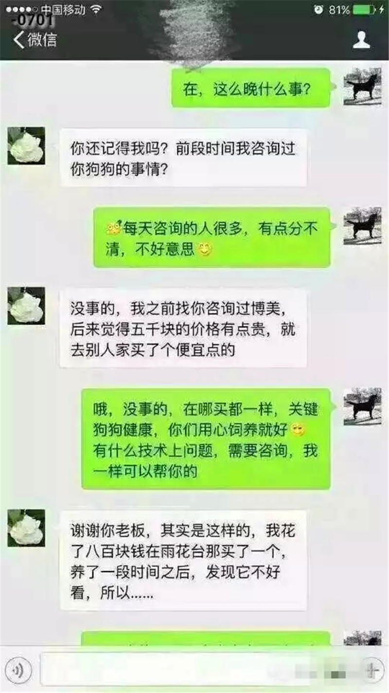 一位宠物店主和买家的聊天,流浪狗都是这么来的