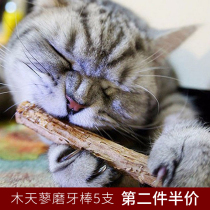 Wood Polygonum Catnip Cat Molar stick Toy bite stick Kitten snack Cat tooth cleaning kitten tease cat stick 5 pcs