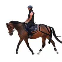 Urban environmental protection horse manure bag