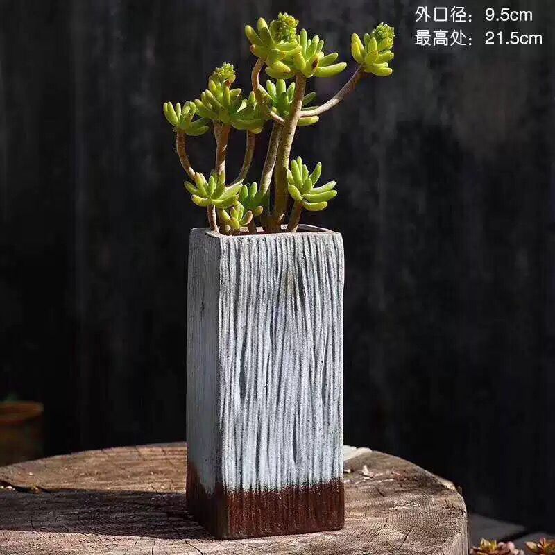 Old running the pot clay ceramic retro zhuang zi mage, coarse pottery creative move meat meat large fleshy flower pot the plants