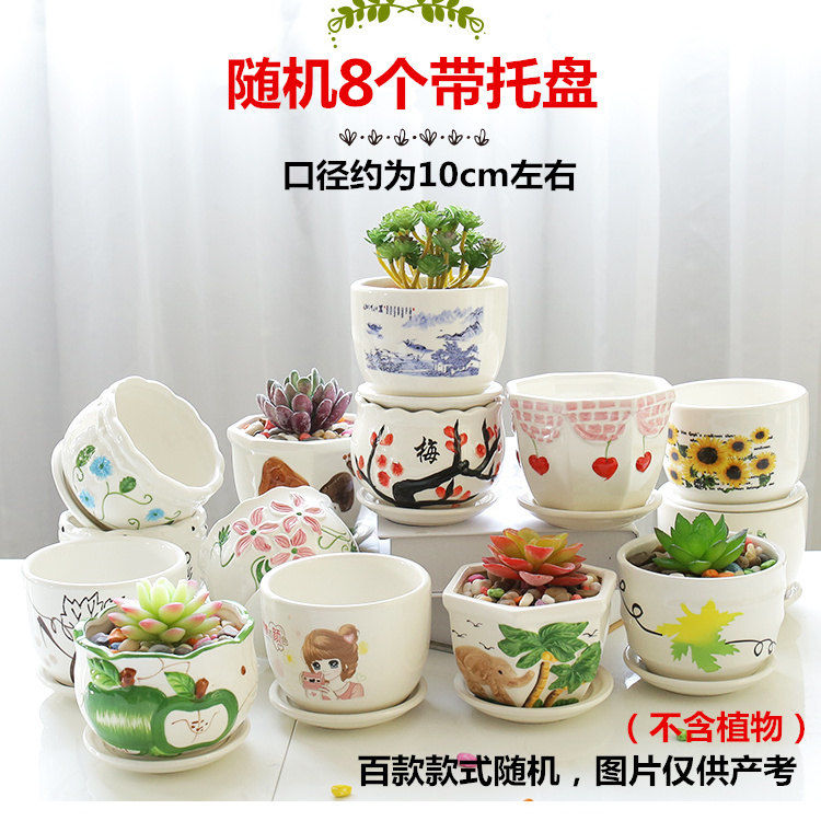 The Random eight flowerpot ceramics with tray was special offer a clearance meat meat other creative plant individual character small fleshy flower pot