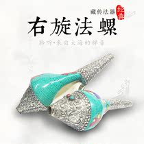 Right-handed snail Tibetan instruments Buddhist tantric ornaments home for Buddha Nepal handmade bag Tibetan silver conch 28cm