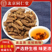 Tongrentang dandelion root tea fried cooked special class natural long white mountain wild large root through breast female 500g