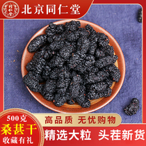Tongrentang mulberry dry black mulberry tea special class 2021 fresh free ready-to-eat Xinjiang wild male brewery 500g