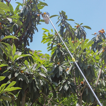 Bayberry high-altitude fruit picking device telescopic picking loquat date Persimmon artifact household fruit fruit picking plum picking tool